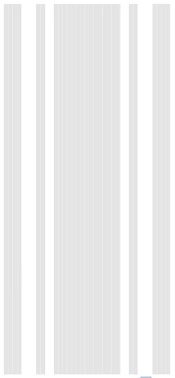 5 Band White Innegra 67mm 2 5 Band White Innegra 67mm - Image 2